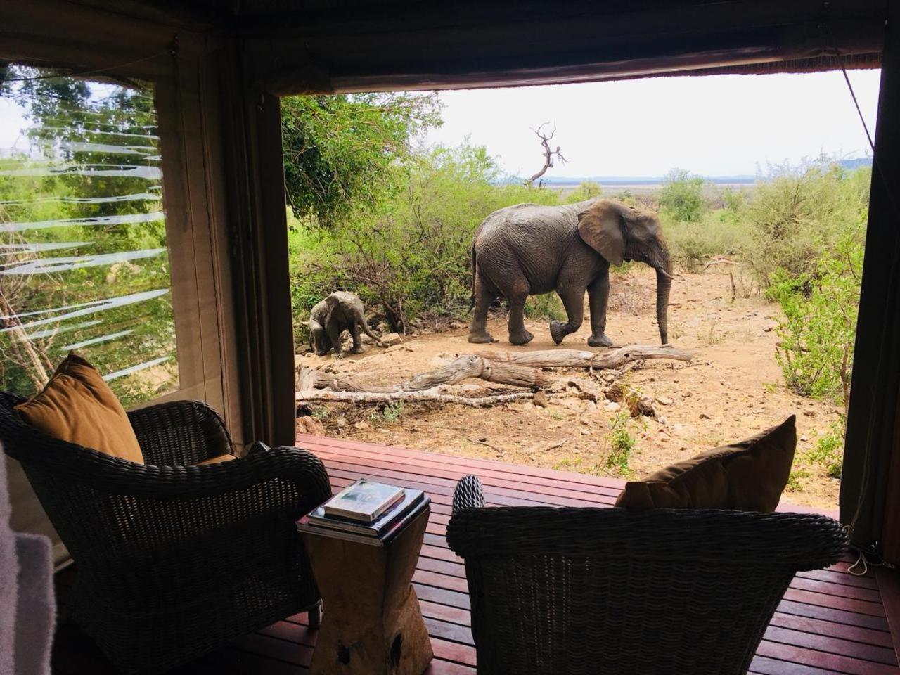 Impodimo Game Lodge Заповедник Мадикве Экстерьер фото
